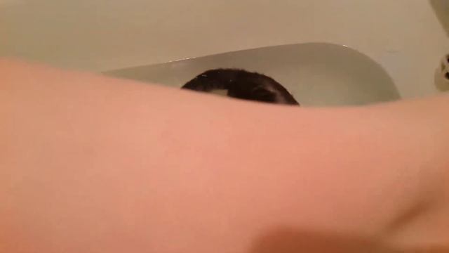 кот принимает ванну смотреть онлайн