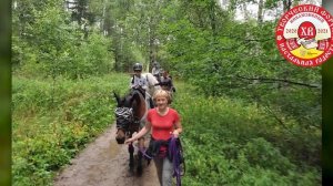 Лошадь и человек: культура взаимодействия. Школа паралимпийского конкура "Лошади дарят крылья"