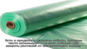 Какая плёнка может стать альтернативой поликарбонату в теплице