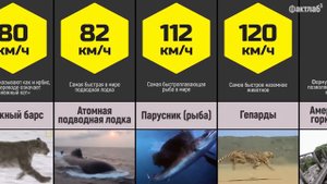 Самая большая скорость во Вселенной