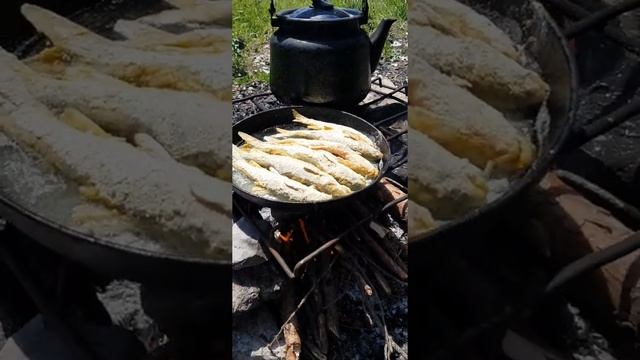 самая вкусная речная рыба усач?