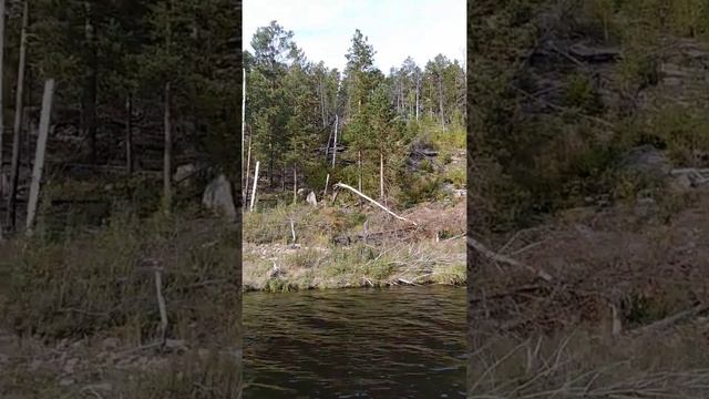 Долгобродское водохранилище, его окрестности. Октябрь 2019 г.