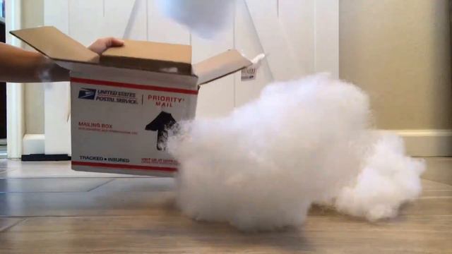 FINAL PLANT Unboxing Video of 2020 SCINDAPSUS PICTUS JADE SATIN смотреть онлайн