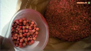 Семена сахарного гороха Оскар. Как выглядят семена, мешок и упаковка Супермаркета Семян