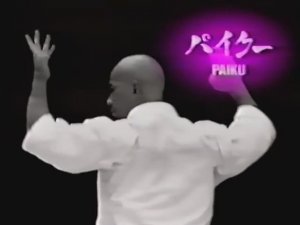 Рюэй рю каратэдо, разбор ката Пайку