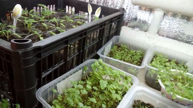 ОБЗОР ФЕВРАЛЯ, УСПЕХИ и ОШИБКИ от Марины! смотреть онлайн