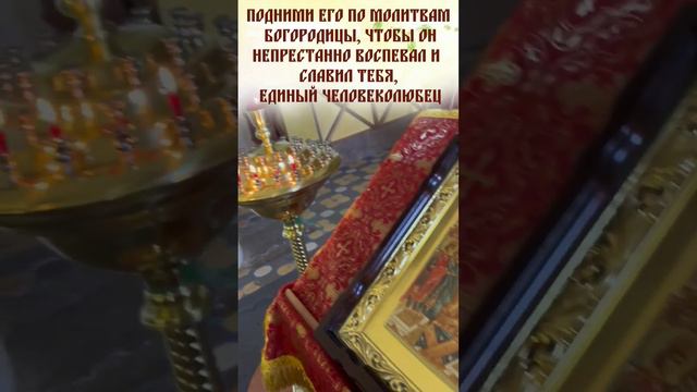 БОЛЕЗНЬ НЕ ПОБЕДИТЬ без Веры и #МОЛИТВЫ! Помолимся с Батюшкой Иисусу Христу #об_исцелении