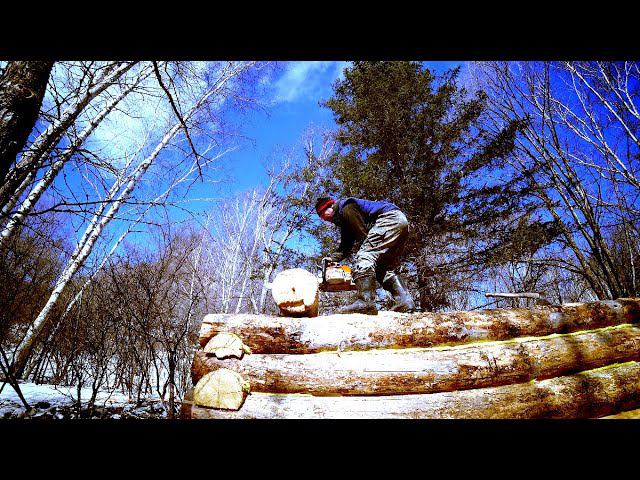 СТРОИМ ИЗБУ В ТАЙГЕ НА НОВОМ УЧАСТКЕ. Заключительная часть этой поездки. смотреть онлайн