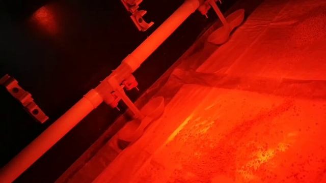 Первые сутки жизни перепелят // Запускаем второй брудер // Расселение перепелят по домикам