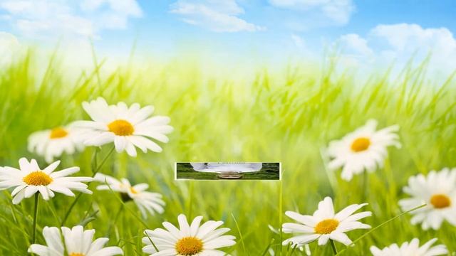 Асекеевский район Школьные годы чудесные смотреть онлайн