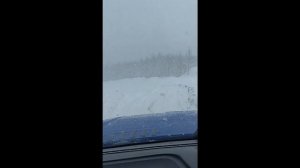 Эльга Строй