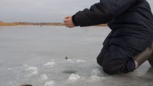 Окунь на безмотылку ловится безотказно! Блесны и балансиры отдыхают!.mp4