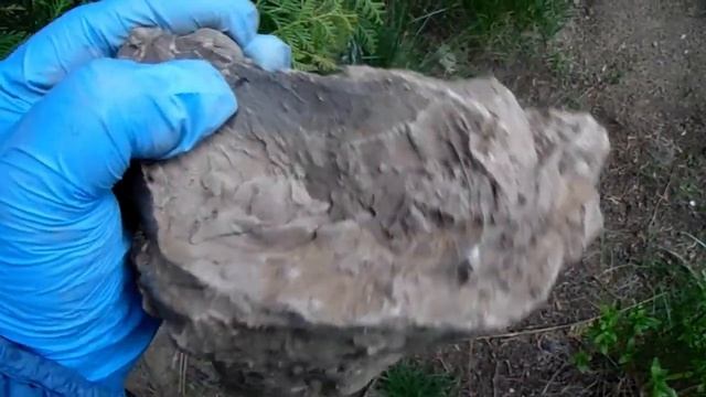 Ландшафтный дизайн. Обучение. Занятие 6. Почва.