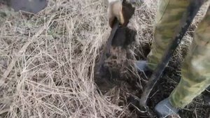 МЕТАЛЛОКОП, КОП МЕТАЛЛА ВДОЛЬ ДОРОГ И ПОЛЕЙ