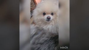 Как положено друзьям, всё мы делим пополам ?