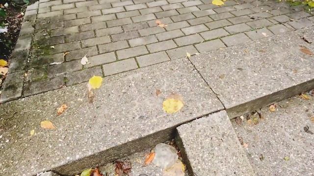ПРИВАТ В ГЕРМАНИИ наш внутренний двор #МЮНХЕН #нашажизньвгермании #германия #бавария #жизньвгермани