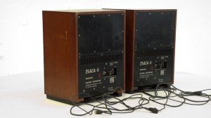 Обзор Колонки 25АСА-II СССР 1979 год
