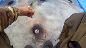 Рыбалка зимой в ПАЛАТКЕ с печкой. Ловим ПЛОТВУ на водохранилище 1 Января.