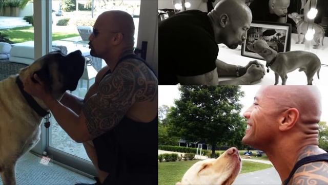 WWE Superstars: И их домашние животные!!! смотреть онлайн