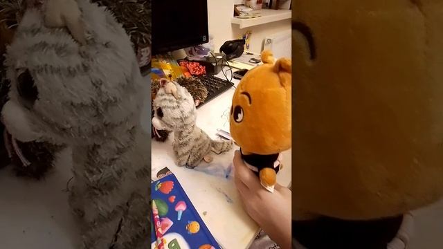 школа