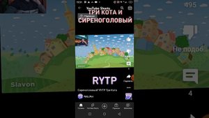 секрет 3 котов