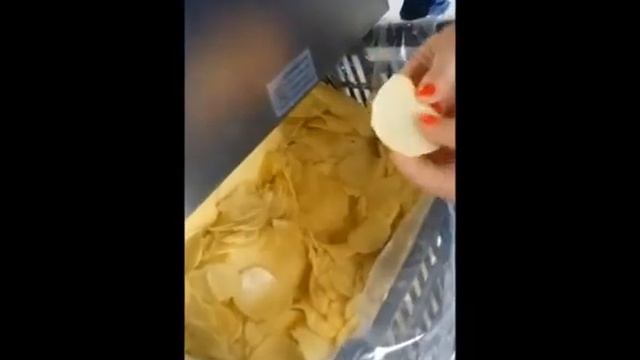 ОВОЩЕРЕЗКА CELME CHEF MAGNUM TV 330 INOX 2 для крупных предприятий общественного питания . смотреть онлайн