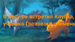 Коты-Воители : история Огнезвёзд. Канал Синей Звёзды