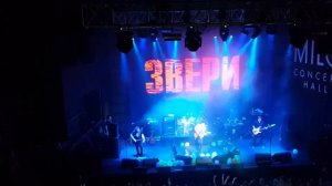 Звери "Лапами вверх"