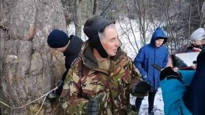 Возможно самая большая сосна в Удмуртии