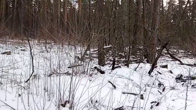 Соревнования "Мороз Красный Нос 2021" (23 января 2021г.) смотреть онлайн