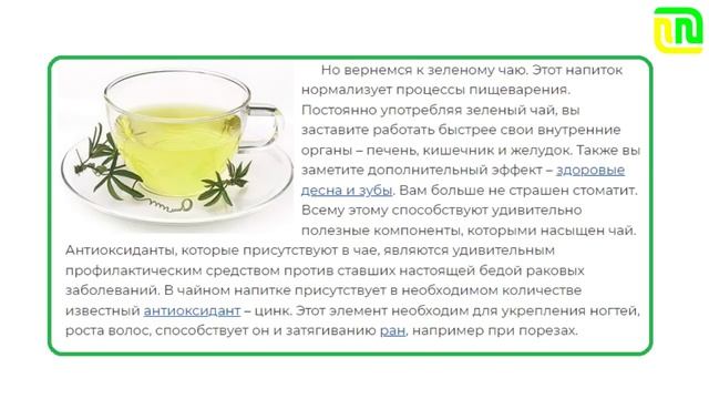 Польза и вред зелёного чая | Как правильно заваривать зеленый чай?