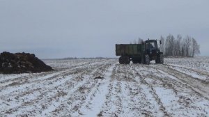 Трактора МТЗ вывозят навоз в СПК "Гигант"