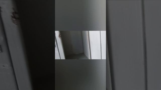 Мини гайд-обзор бассейна "Труд"
город Железногорск, Красноярский край.