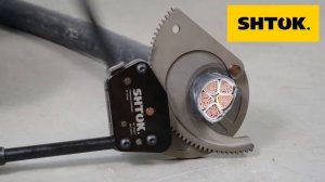 Ножницы Секторные НС-100БСР SHTOK