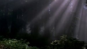 экожурнал вып 1