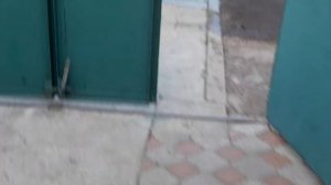Полив огорода водяной помпой