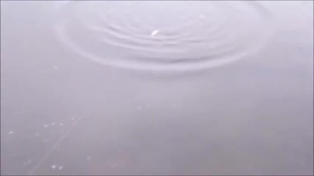 Техника проводки Bent Minnow смотреть онлайн