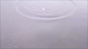 Техника проводки Bent Minnow