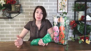 Как сохранить саженцы роз до посадки ?Уход за розой до посадки