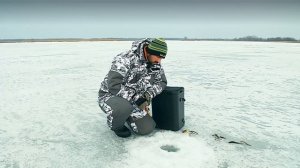 Ловля окуня на мормышку с использованием съедобной резины