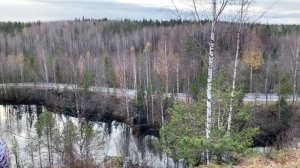 ХИТЫ ВСЕХ ВРЕМЕН НА УКУЛЕЛЕ