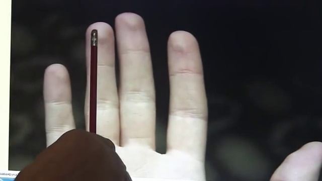 как определить свои наклонности по длине пальцев. Тайны и секреты. смотреть онлайн