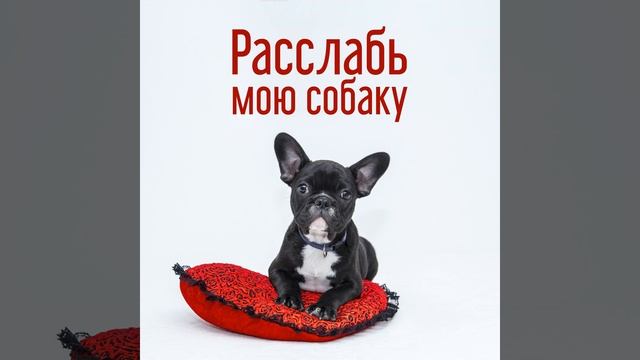 Доброй ночи смотреть онлайн