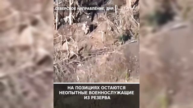 Бои за Северск смотреть онлайн