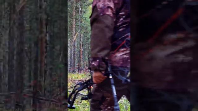 Охота с блочным луком смотреть онлайн