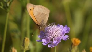 ТОЛЬКО 17 ДЕКАБРЯ СДЕЛАЙ ОБЕРЕГ ДЛЯ РЕБЕНКА