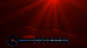 Jonas Blue - Wild vs. Kay One ft. Pietro Lombardi - Seneorita (Sachsobeat Mashup Video)