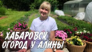 244. Хабаровск - Огород у Алины