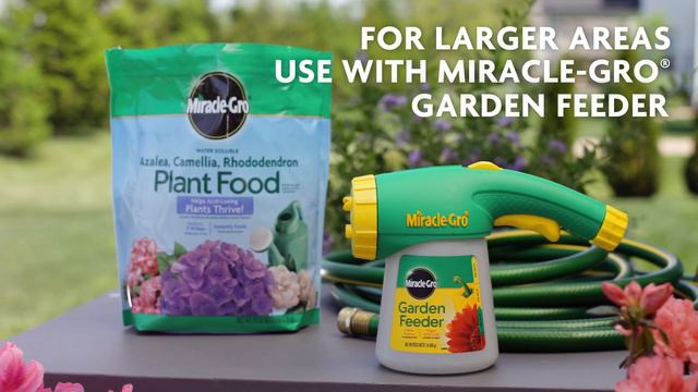 How To Use Miracle-Gro® Water Soluble Azalea, Camellia, Rhododendron Plant Food смотреть онлайн