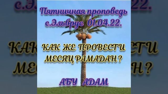 Как должен провести мусульманин месяц Рамадан?! /#коран #сунна #ислам #рамадан #месяцрамадан
